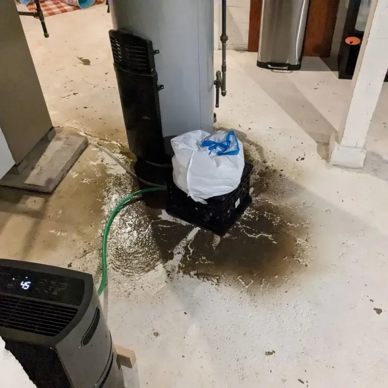 Sewage Backup Cleanup Service in Theodore, AL